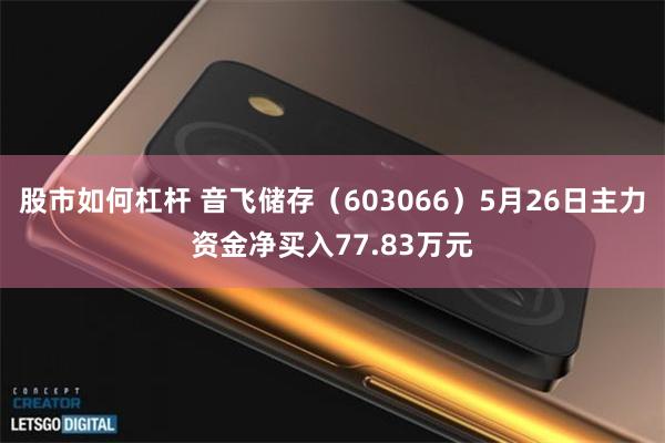 股市如何杠杆 音飞储存（603066）5月26日主力资金净买入77.83万元