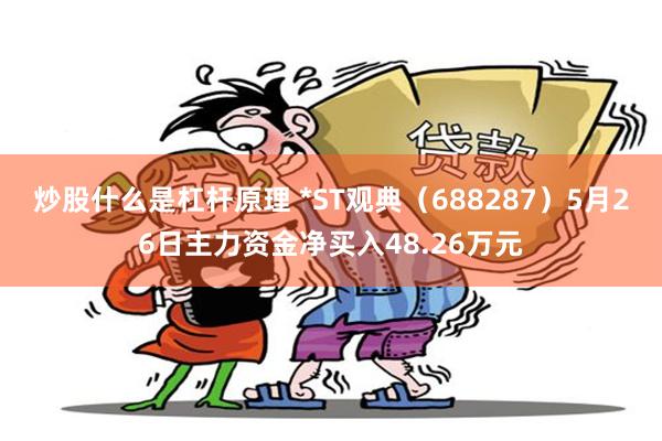 炒股什么是杠杆原理 *ST观典（688287）5月26日主力资金净买入48.26万元