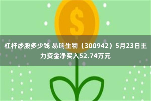 杠杆炒股多少钱 易瑞生物（300942）5月23日主力资金净买入52.74万元