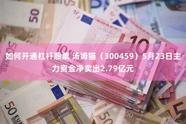 如何开通杠杆股票 汤姆猫（300459）5月23日主力资金净卖出2.79亿元