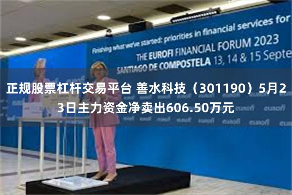 正规股票杠杆交易平台 善水科技（301190）5月23日主力资金净卖出606.50万元