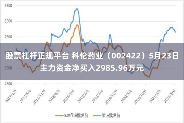 股票杠杆正规平台 科伦药业（002422）5月23日主力资金净买入2985.96万元