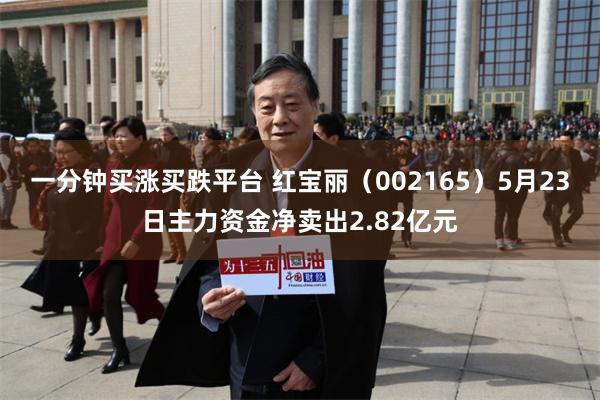 一分钟买涨买跌平台 红宝丽（002165）5月23日主力资金净卖出2.82亿元