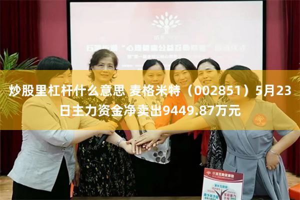 炒股里杠杆什么意思 麦格米特（002851）5月23日主力资金净卖出9449.87万元