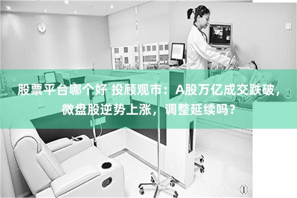 股票平台哪个好 投顾观市：A股万亿成交跌破，微盘股逆势上涨，调整延续吗？