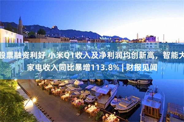 股票融资利好 小米Q1收入及净利润均创新高，智能大家电收入同比暴增113.8% | 财报见闻