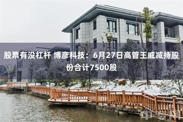 股票有没杠杆 博彦科技：6月27日高管王威减持股份合计7500股