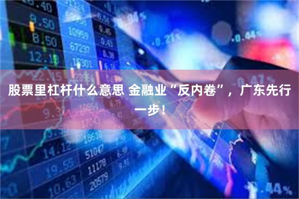 股票里杠杆什么意思 金融业“反内卷”，广东先行一步！