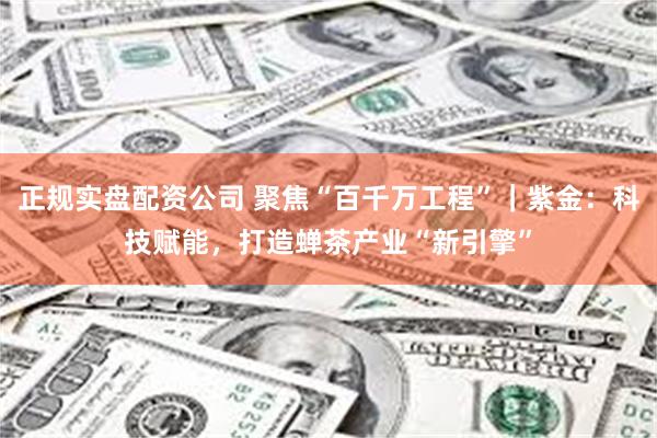 正规实盘配资公司 聚焦“百千万工程”｜紫金：科技赋能，打造蝉茶产业“新引擎”