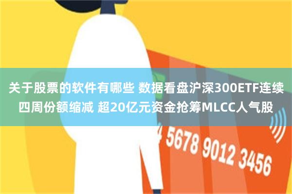关于股票的软件有哪些 数据看盘沪深300ETF连续四周份额缩减 超20亿元资金抢筹MLCC人气股