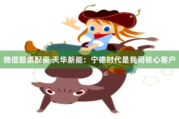 微信股票配资 天华新能：宁德时代是我司核心客户