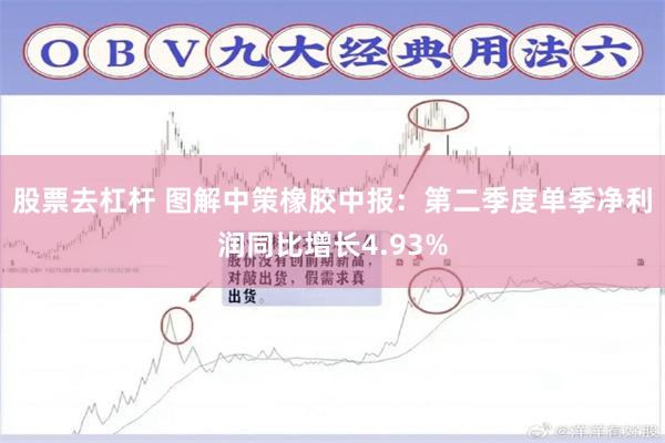 股票去杠杆 图解中策橡胶中报：第二季度单季净利润同比增长4.93%