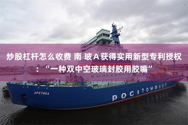 炒股杠杆怎么收费 南 玻Ａ获得实用新型专利授权：“一种双中空玻璃封胶用胶嘴”