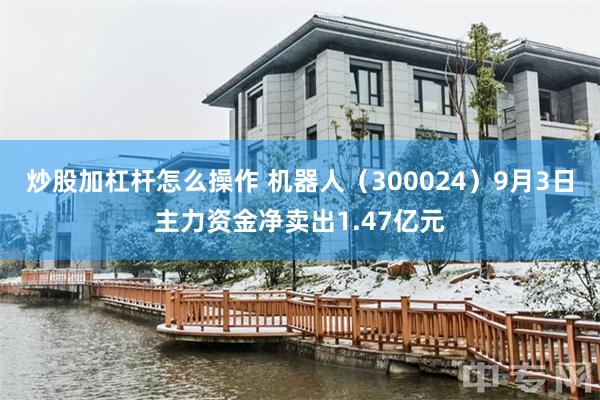 炒股加杠杆怎么操作 机器人（300024）9月3日主力资金净卖出1.47亿元