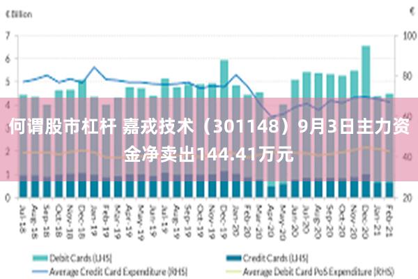 何谓股市杠杆 嘉戎技术（301148）9月3日主力资金净卖出144.41万元