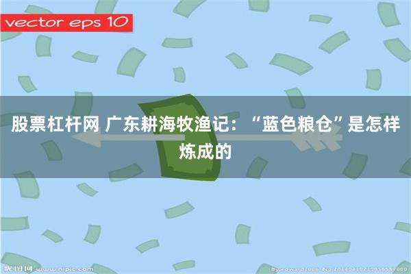 股票杠杆网 广东耕海牧渔记：“蓝色粮仓”是怎样炼成的