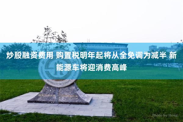 炒股融资费用 购置税明年起将从全免调为减半 新能源车将迎消费高峰