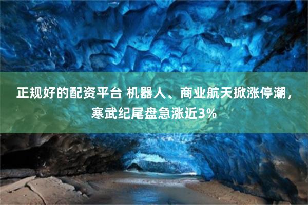 正规好的配资平台 机器人、商业航天掀涨停潮，寒武纪尾盘急涨近3%
