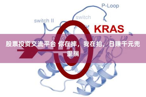 股票投资交流平台 你在摔，我在拍，日赚千元兜里揣