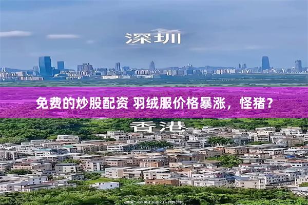 免费的炒股配资 羽绒服价格暴涨，怪猪？