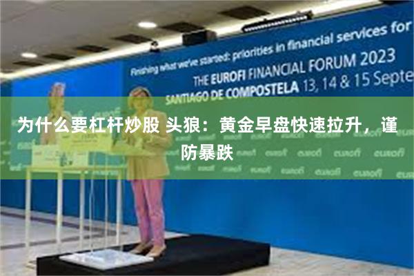 为什么要杠杆炒股 头狼：黄金早盘快速拉升，谨防暴跌
