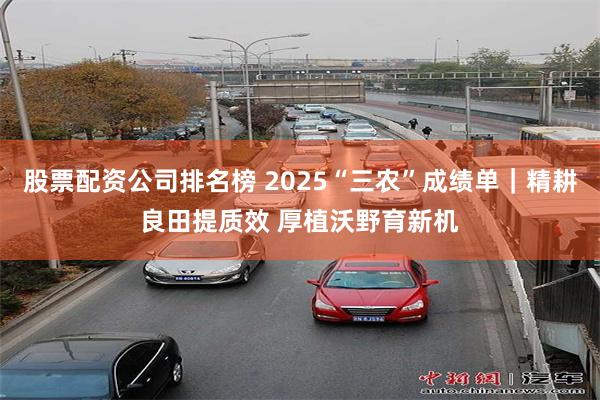 股票配资公司排名榜 2025“三农”成绩单｜精耕良田提质效 厚植沃野育新机