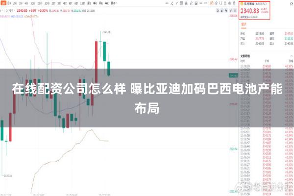 在线配资公司怎么样 曝比亚迪加码巴西电池产能布局