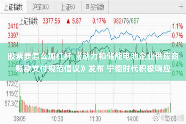 股票要怎么加杠杆 《动力和储能电池企业供应商账款支付规范倡议》发布 宁德时代积极响应