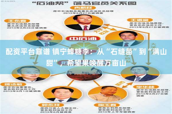 配资平台靠谱 镇宁蜂糖李：从“石缝苗”到“满山甜”，希望果唤醒万亩山