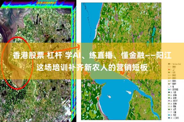 香港股票 杠杆 学AI、练直播、懂金融——阳江这场培训补齐新农人的营销短板