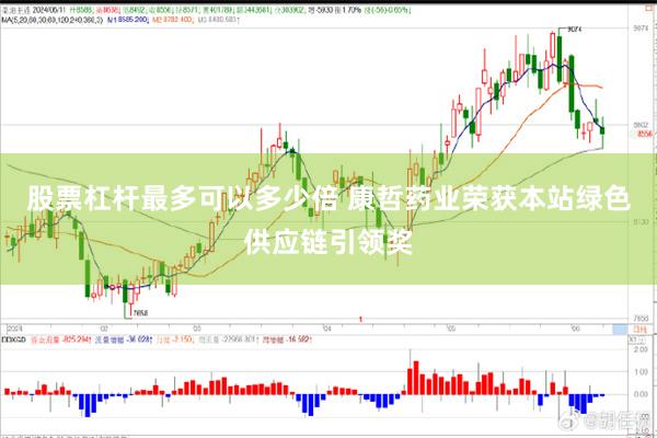 股票杠杆最多可以多少倍 康哲药业荣获本站绿色供应链引领奖