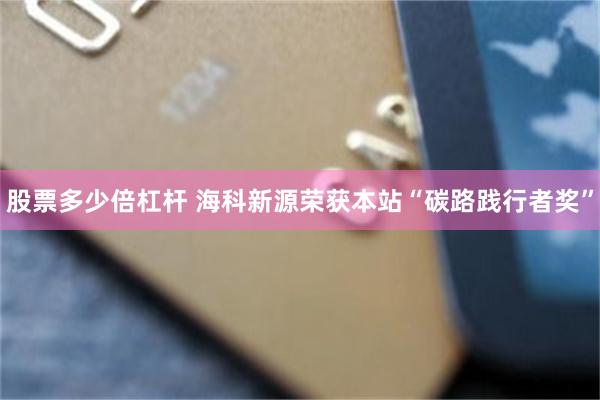 股票多少倍杠杆 海科新源荣获本站“碳路践行者奖”