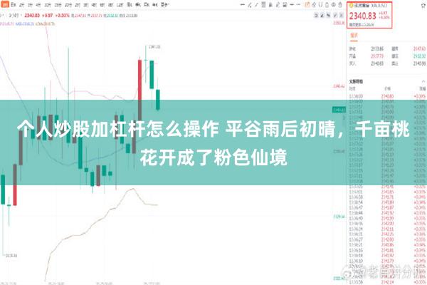 个人炒股加杠杆怎么操作 平谷雨后初晴，千亩桃花开成了粉色仙境