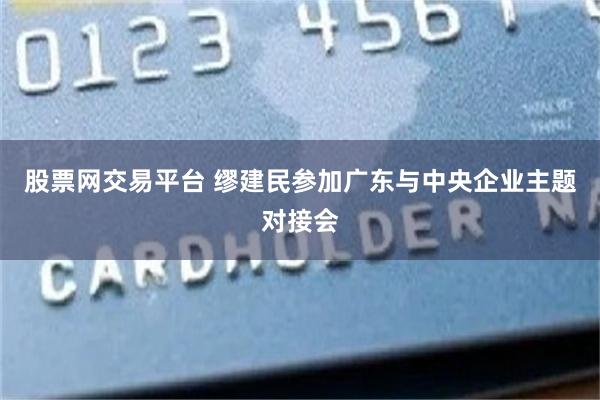 股票网交易平台 缪建民参加广东与中央企业主题对接会