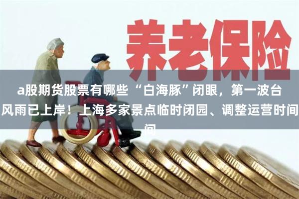 a股期货股票有哪些 “白海豚”闭眼，第一波台风雨已上岸！上海多家景点临时闭园、调整运营时间