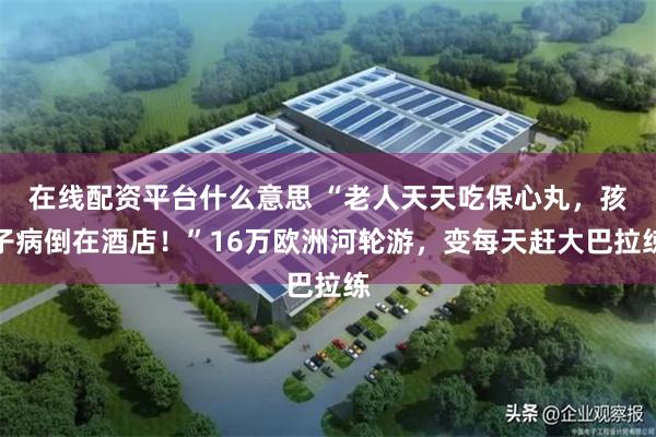 在线配资平台什么意思 “老人天天吃保心丸，孩子病倒在酒店！”16万欧洲河轮游，变每天赶大巴拉练