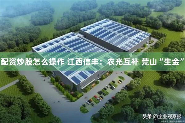 配资炒股怎么操作 江西信丰：农光互补 荒山“生金”