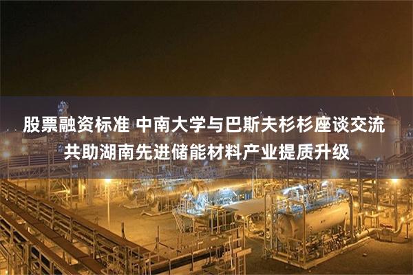 股票融资标准 中南大学与巴斯夫杉杉座谈交流 共助湖南先进储能材料产业提质升级