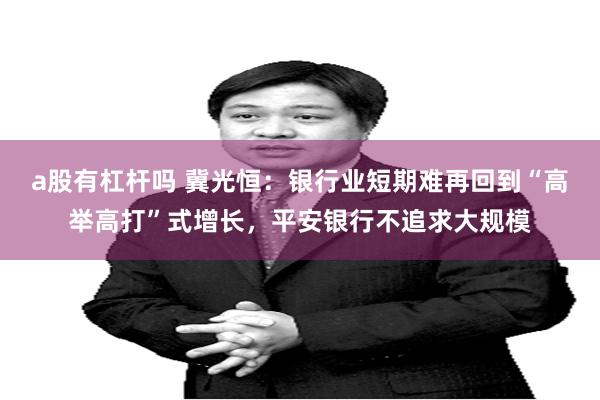a股有杠杆吗 冀光恒：银行业短期难再回到“高举高打”式增长，平安银行不追求大规模