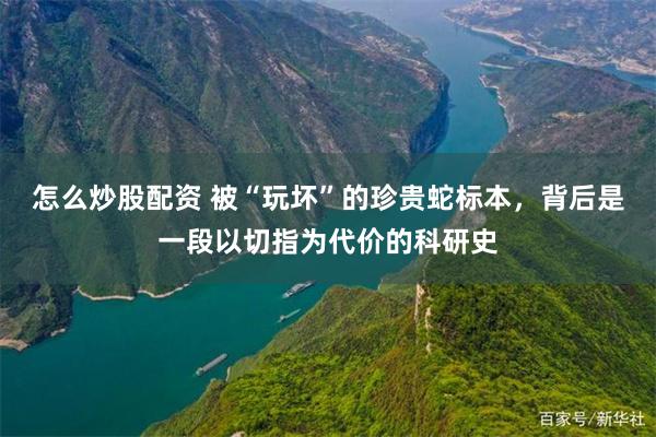 怎么炒股配资 被“玩坏”的珍贵蛇标本，背后是一段以切指为代价的科研史