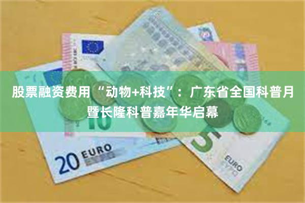 股票融资费用 “动物+科技”:广东省全国科普月暨长隆科普嘉年华启幕
