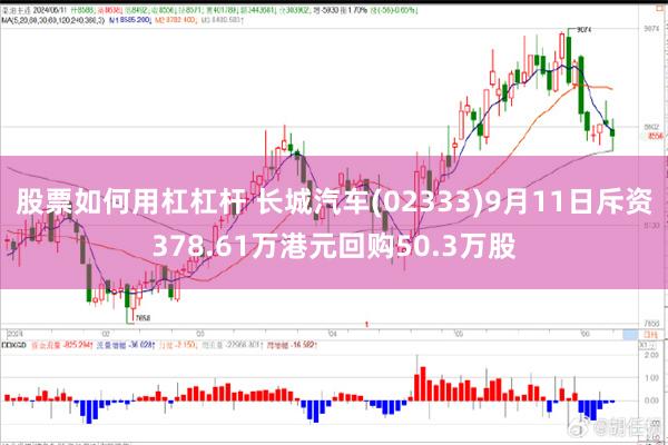 股票如何用杠杠杆 长城汽车(02333)9月11日斥资378.61万港元回购50.3万股