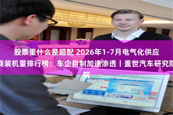 股票里什么是超配 2026年1-7月电气化供应商装机量排行榜：车企自制加速渗透丨盖世汽车研究院