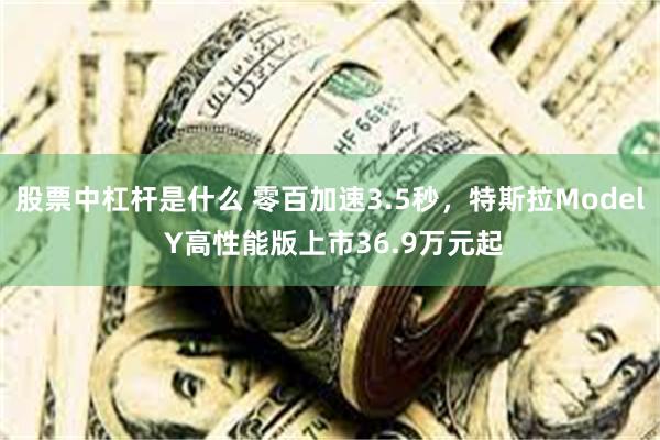 股票中杠杆是什么 零百加速3.5秒，特斯拉Model Y高性能版上市36.9万元起