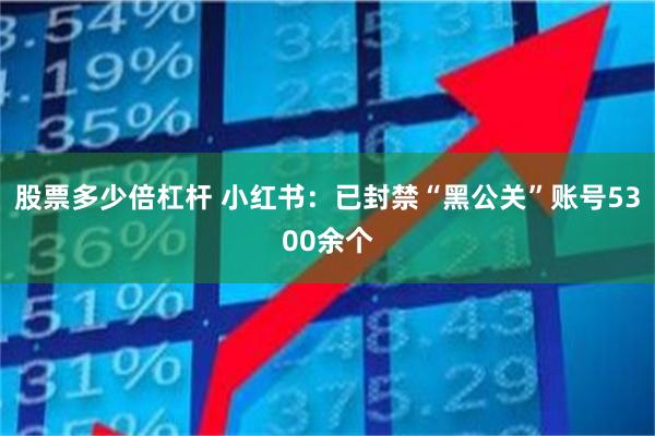 股票多少倍杠杆 小红书：已封禁“黑公关”账号5300余个