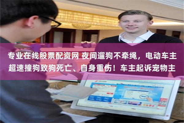 专业在线股票配资网 夜间遛狗不牵绳，电动车主超速撞狗致狗死亡、自身重伤！车主起诉宠物主