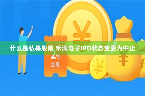 什么是私募股票 禾润电子IPO状态变更为中止