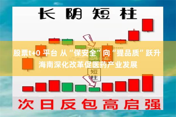股票t+0 平台 从“保安全”向“提品质”跃升 海南深化改革促医药产业发展