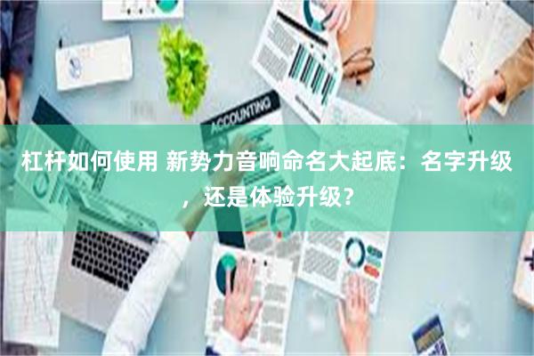 杠杆如何使用 新势力音响命名大起底：名字升级，还是体验升级？