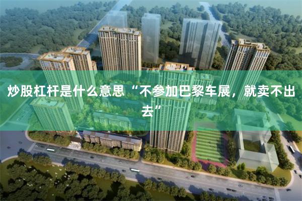炒股杠杆是什么意思 “不参加巴黎车展，就卖不出去”
